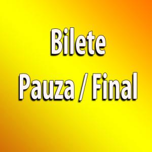 Bilete pauza/final la Betfair - 19.06.2016