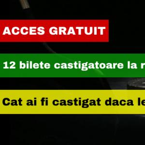 12 bilete la rand castigatoare pe hochei. Cat ai fi castigat daca pariai pe ele