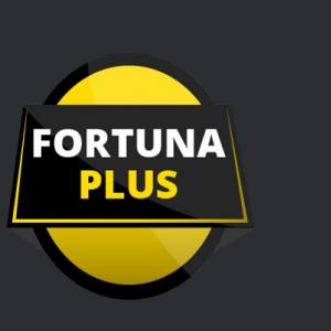 Ce inseamna F+4, F+7 si F+11 la Fortuna Ce inseamna F+4, F+7 si F+11 la Fortuna