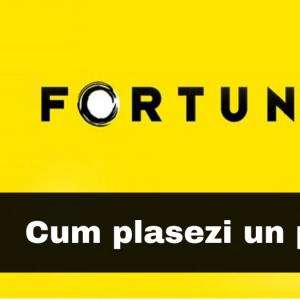 Cum plasezi primul pariu la FORTUNA (explicatii si imaginii) Cum plasezi primul pariu la FORTUNA (explicatii si imaginii)
