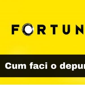 Cum se face o depunere la Fortuna (explicatii si imagini) Cum se face o depunere la Fortuna (explicatii si imagini)
