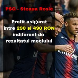 Profit asigurat intre 290 si 490 RON indiferent de rezultatul meciului PSG - Steaua Rosie