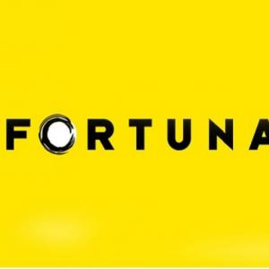 Recenzie Fortuna: oferta de pariere si alte informatii importante Recenzie Fortuna: oferta de pariere si alte informatii importante
