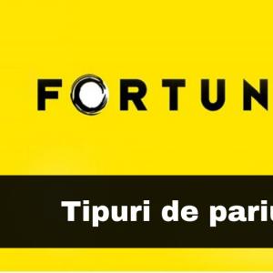 Tipuri de pariuri la FORTUNA Tipuri de pariuri la FORTUNA