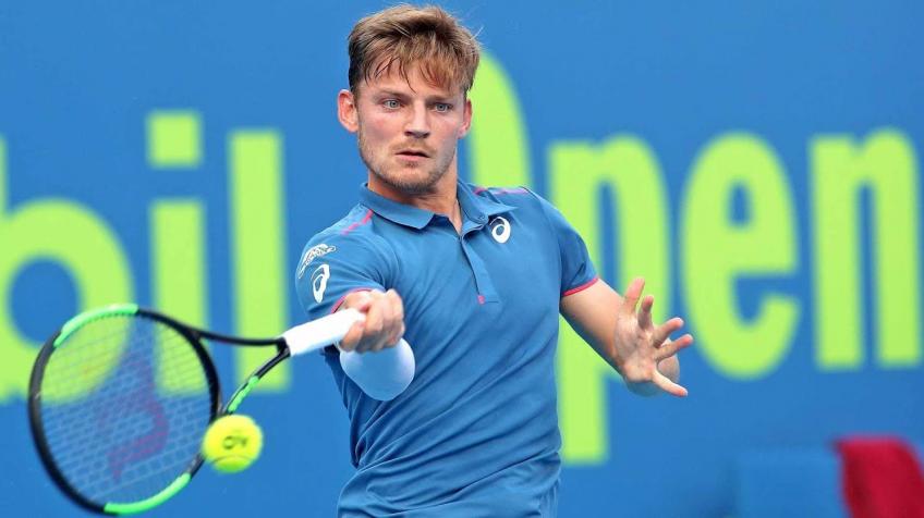 what does the future hold for david goffin
