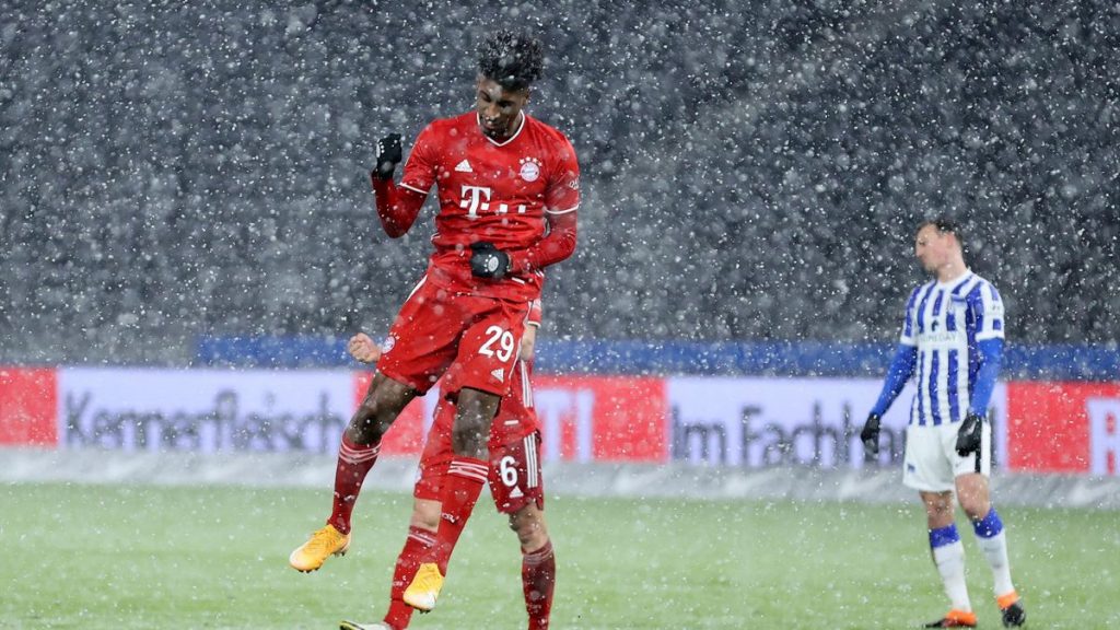 Rezumat etapa 20 Bundesliga