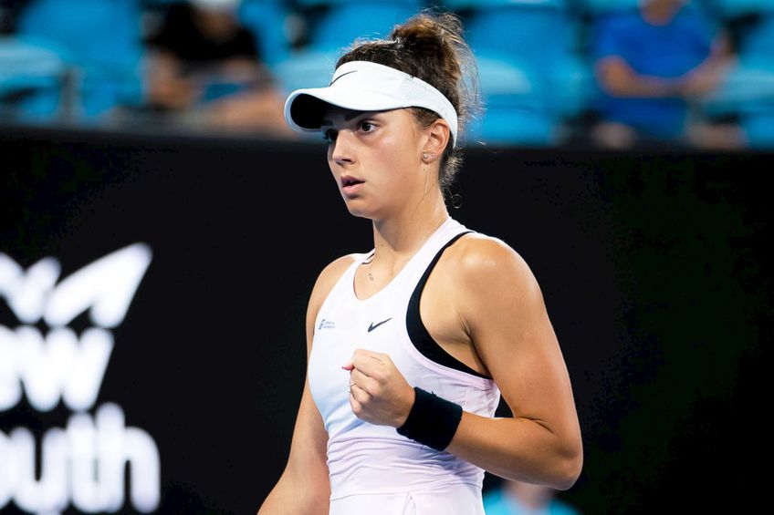 Ponturi tenis - 26.11.2023