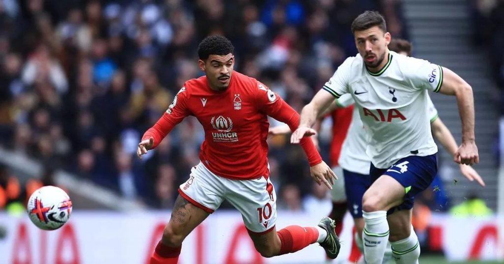 Biletul zilei cota 2 - 15.12.2023