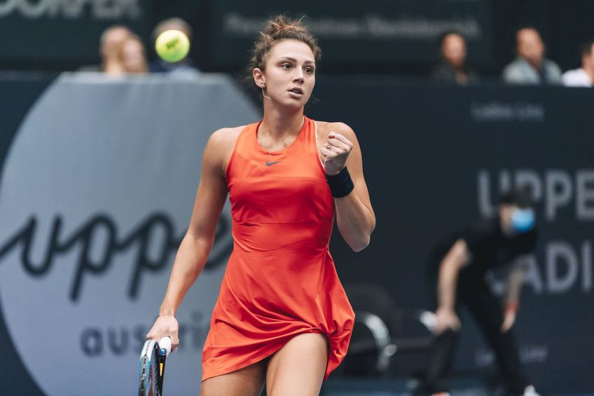 Ponturi tenis - 16.02.2024