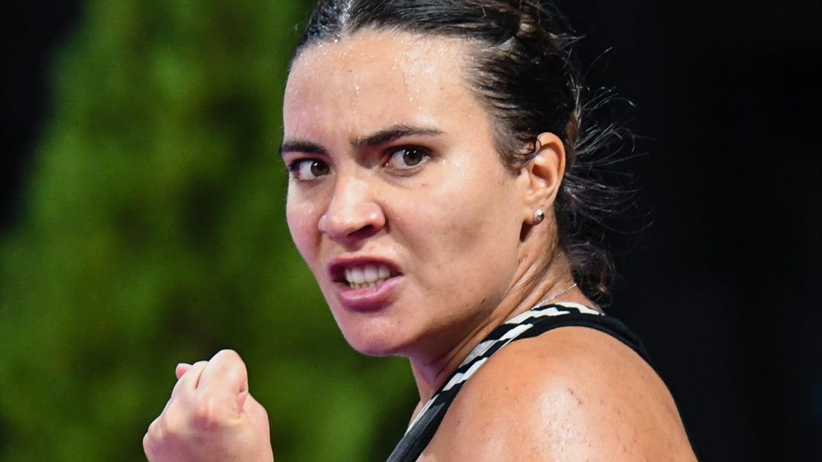 Ponturi tenis - 10.12.2024