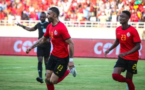 Lista de ponturi pariuri - 31.12.2025